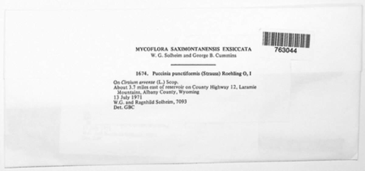 Puccinia suaveolens image